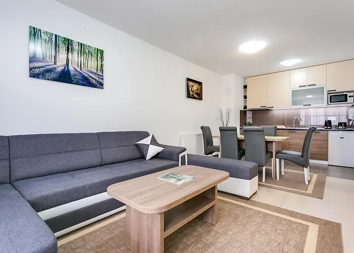 Apartment Nova Cesta 62